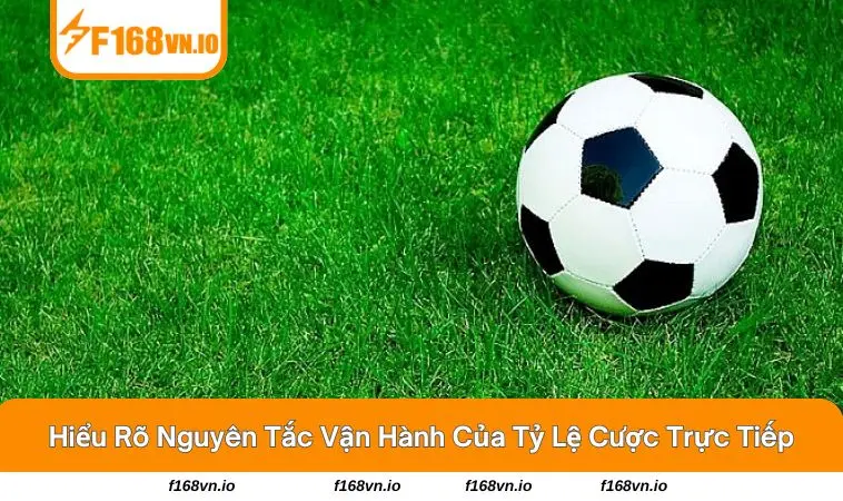 Tỷ lệ kèo tài xỉu nhảy theo thời gian thực