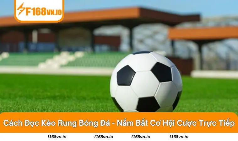 Cách đọc kèo rung bóng đá